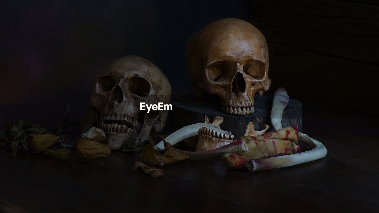 Close-up of human skull on table