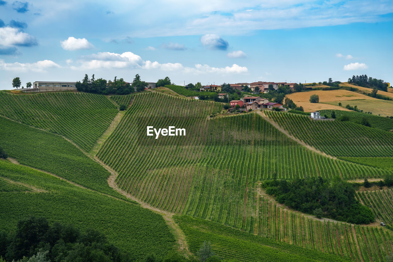 scenic view of agricultural field against cloudy sky