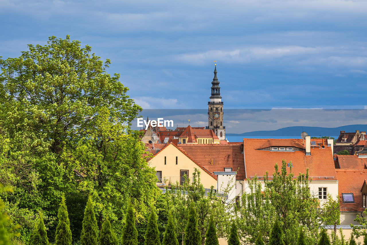 trees and buildings in city against sky