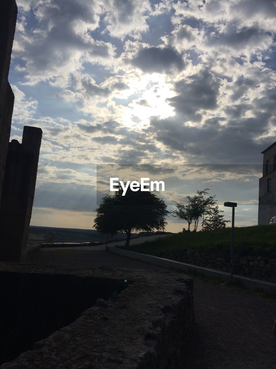 VIEW OF CLOUDY SKY OVER TREES