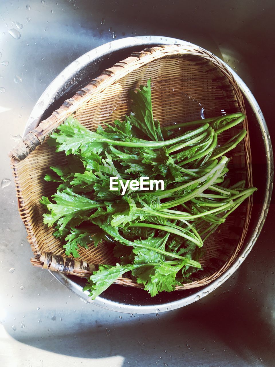 HIGH ANGLE VIEW OF LEAVES IN PLATE