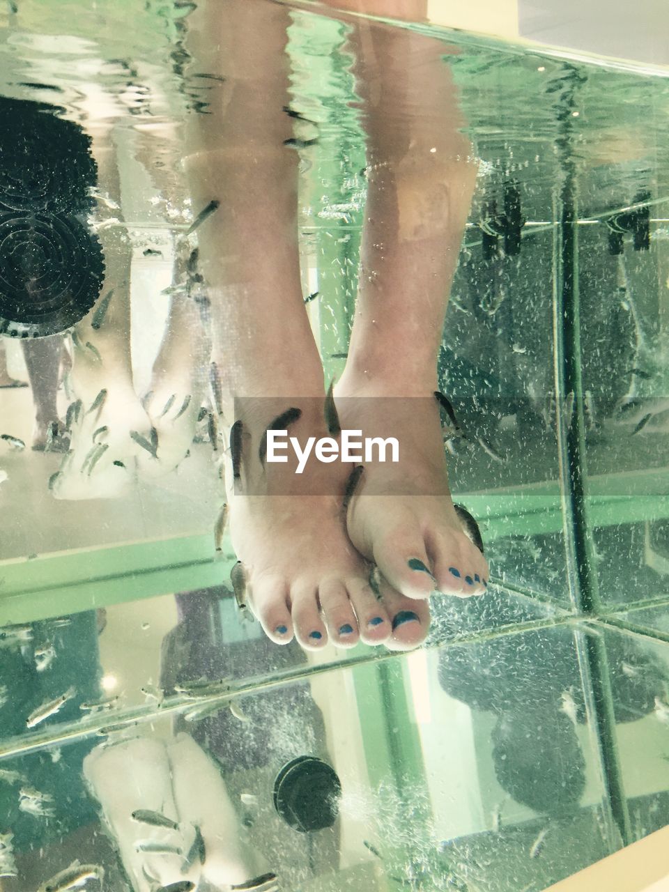 Low section of woman receiving fish pedicure at spa