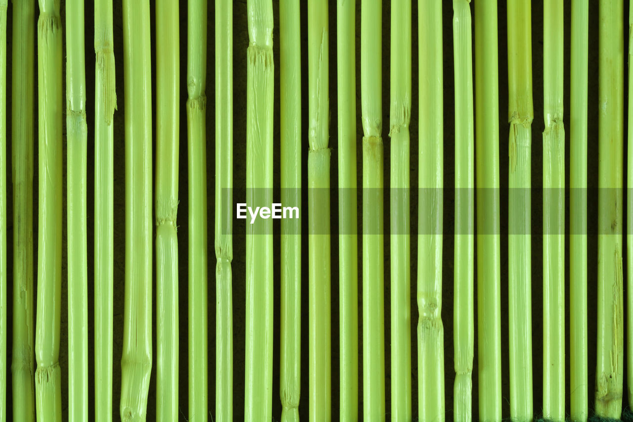 FULL FRAME SHOT OF GREEN BAMBOO PLANTS