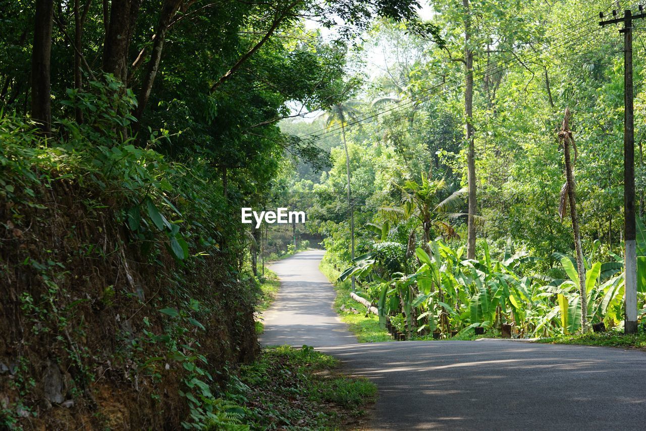 WALKWAY AMIDST TREES AGAINST SKY