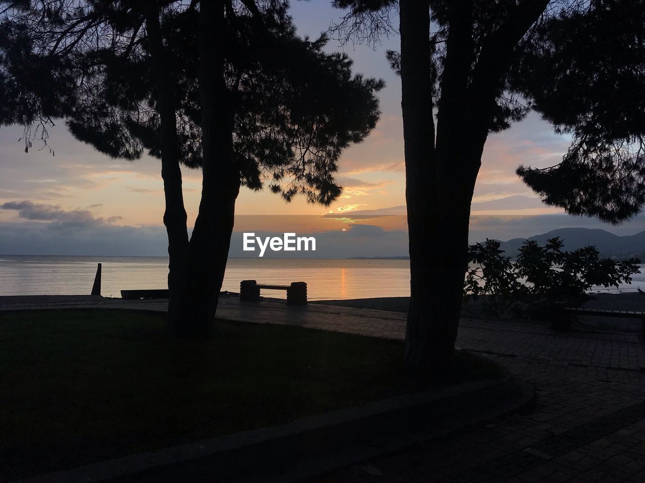 SILHOUETTE TREES ON BEACH AGAINST SKY DURING SUNSET