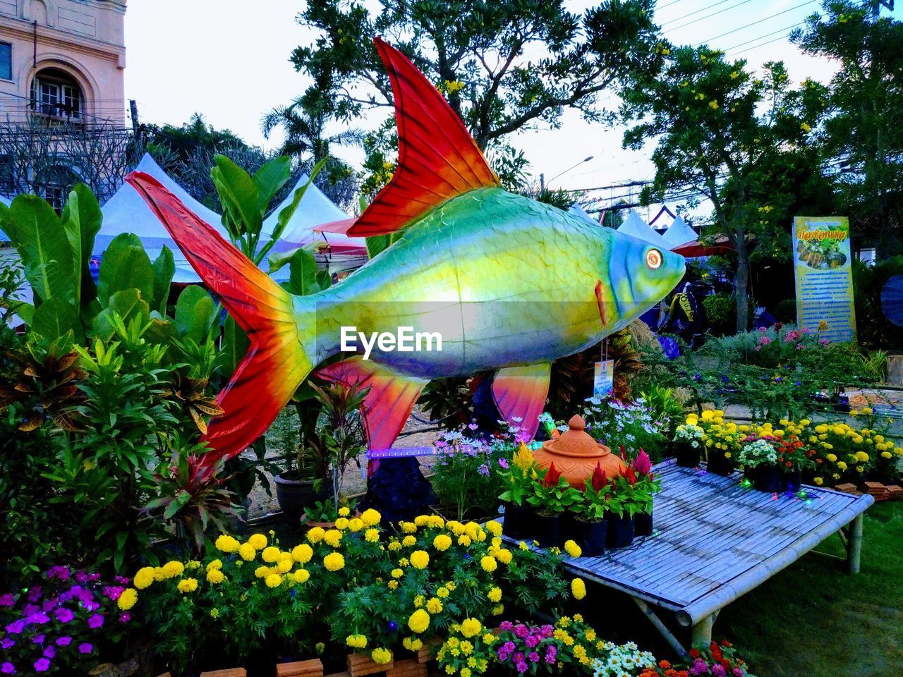 CLOSE-UP OF PARROT ON TREE