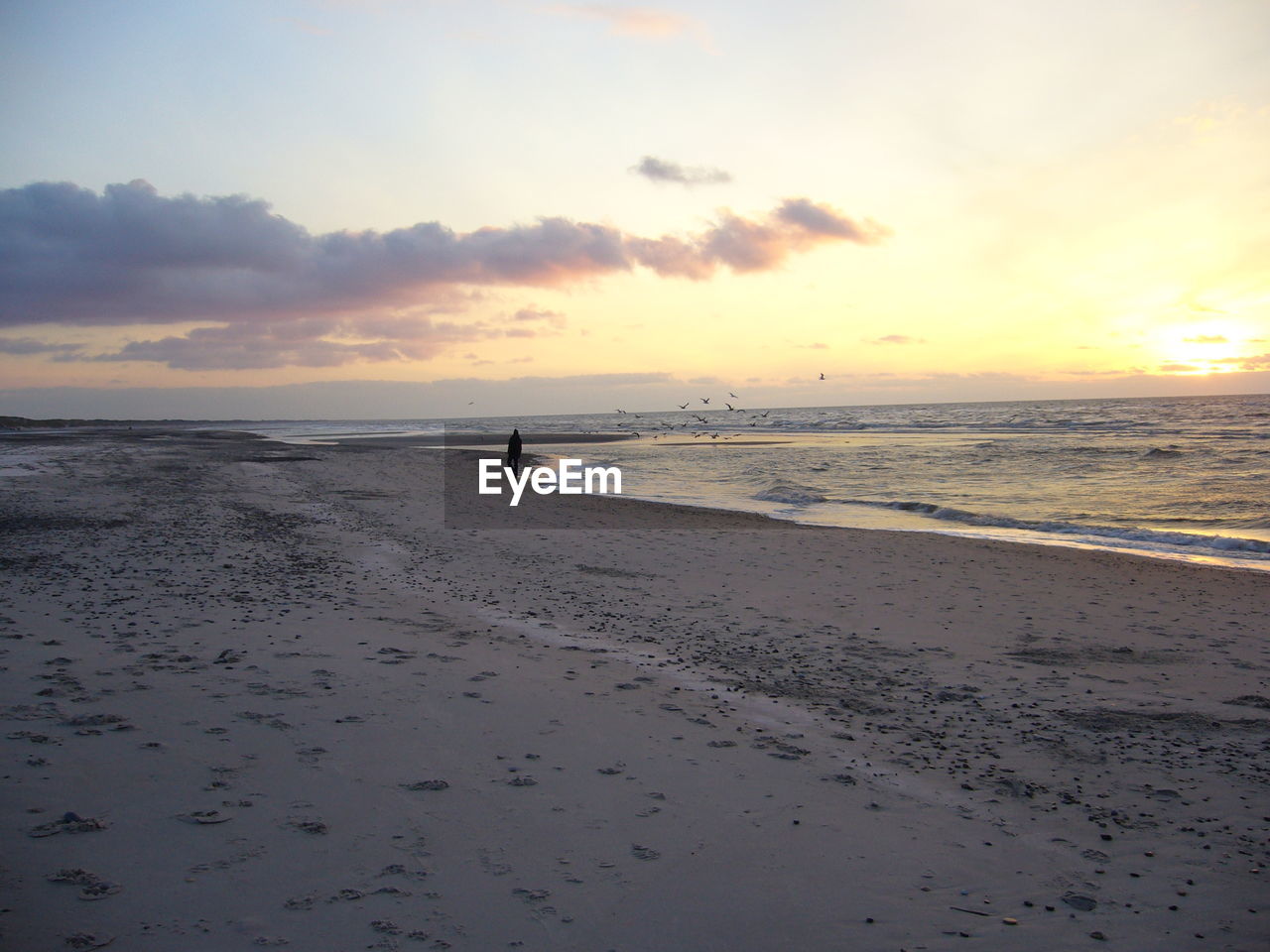 View of calm beach at sunset