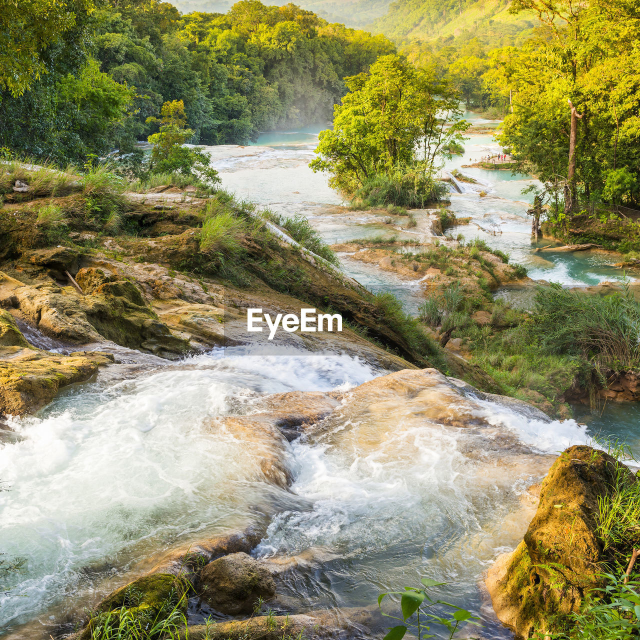 SCENIC VIEW OF RIVER FLOWING THROUGH ROCKS IN FOREST