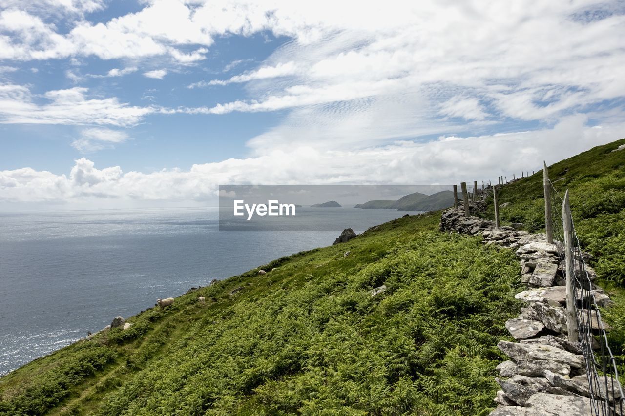 Walking the dingle way trail in ireland