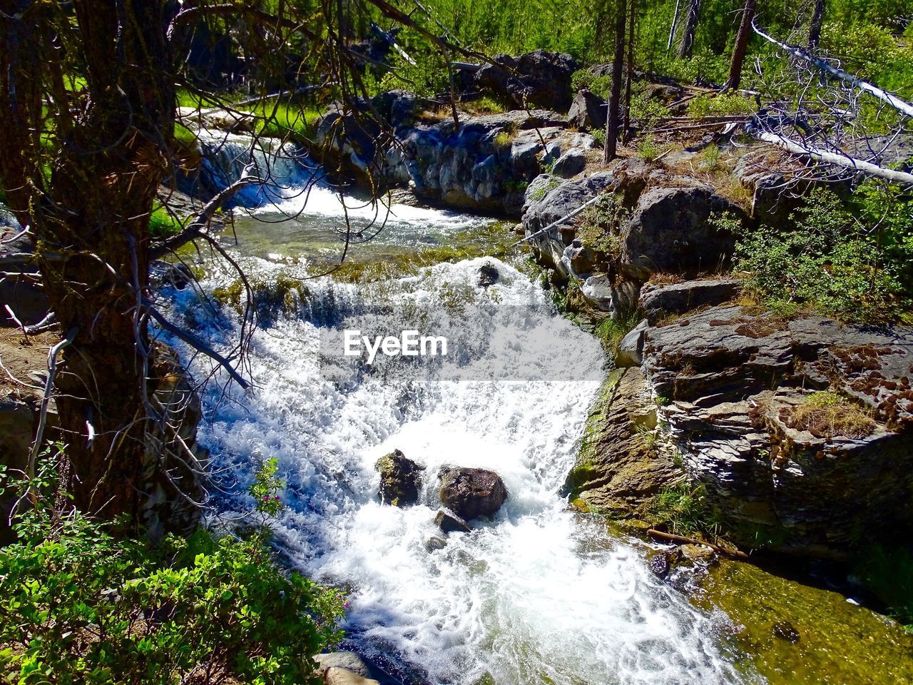 HIGH ANGLE VIEW OF WATERFALL AMIDST RIVER IN FOREST