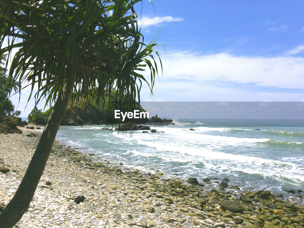 SCENIC VIEW OF BEACH