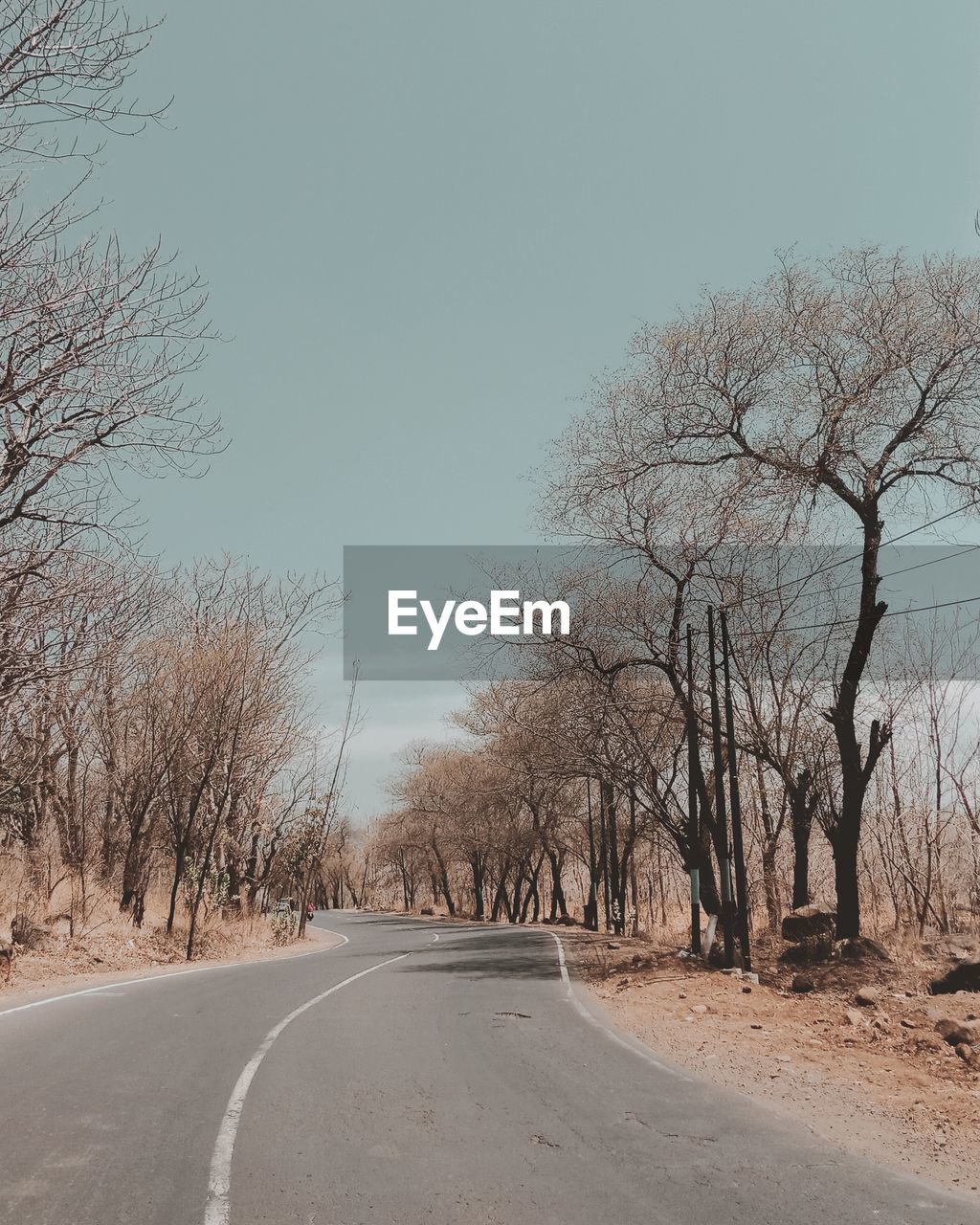 Road amidst bare trees against clear sky