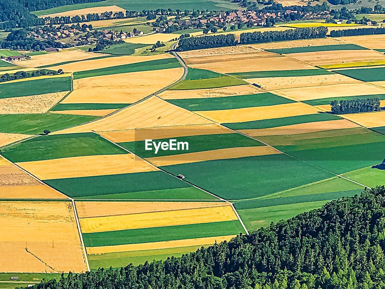 HIGH ANGLE VIEW OF AGRICULTURAL LAND