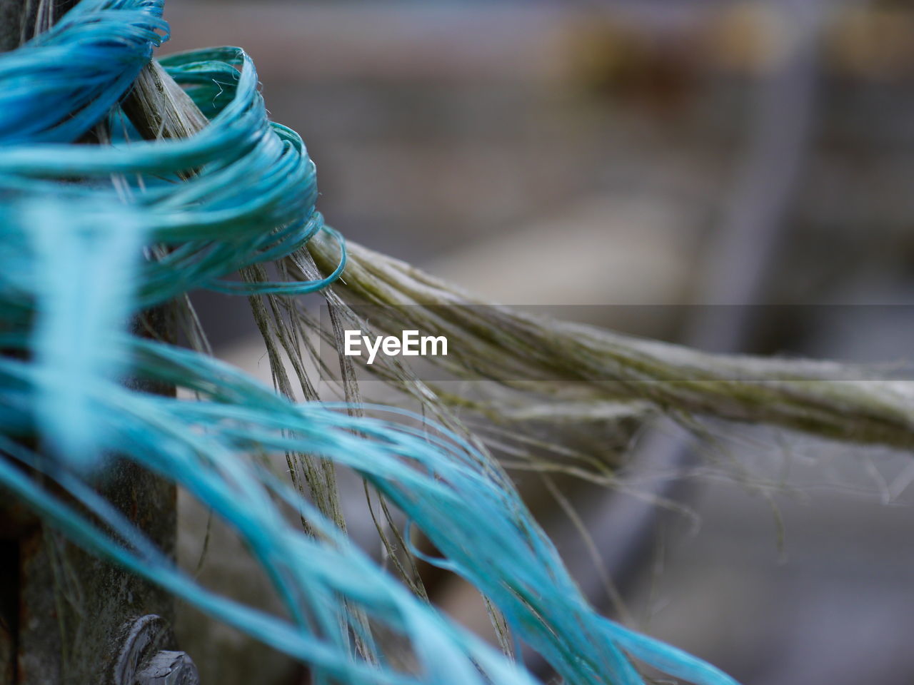 Close-up of tangled ropes