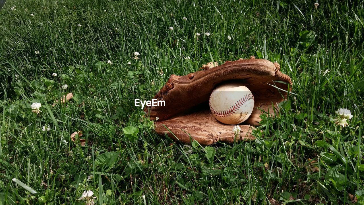 Baseball glove on grassy field