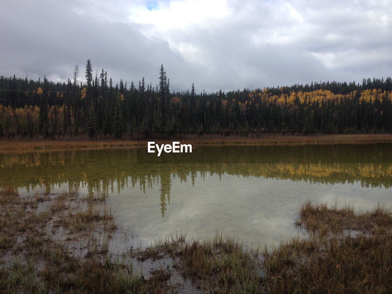 SCENIC VIEW OF LAKE AND TREES AGAINST SKY