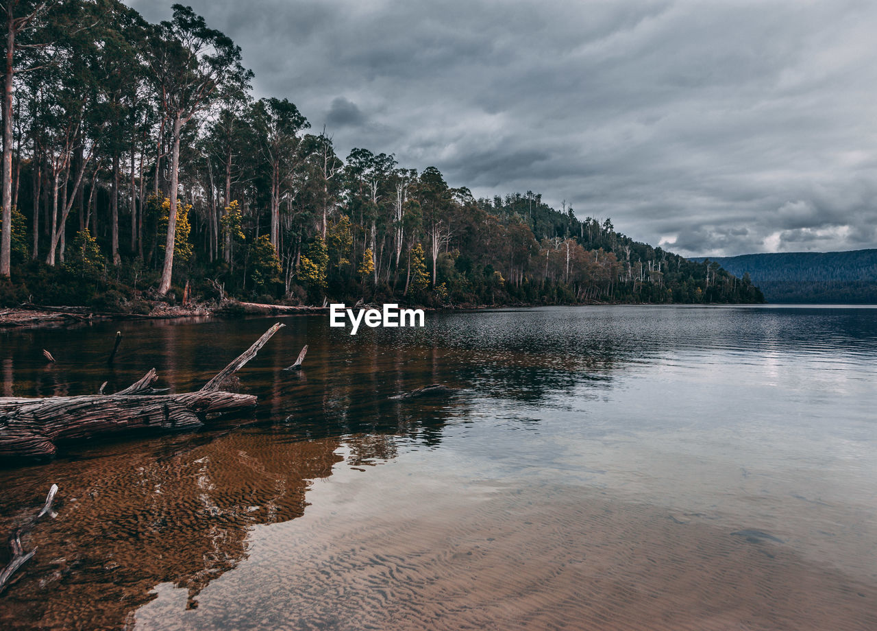 Reflection of trees in lake against sky