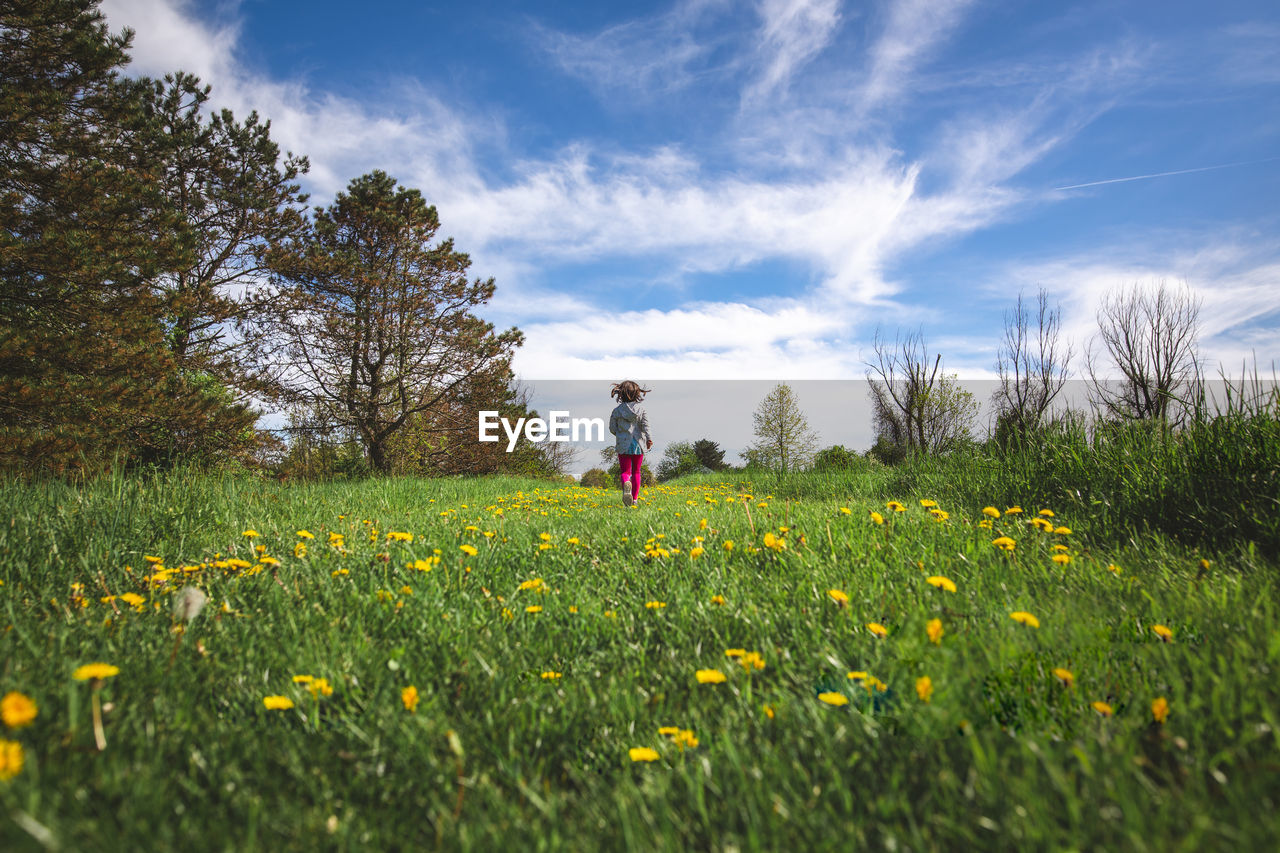 Distant view of a child in bright clothes running in flowery field