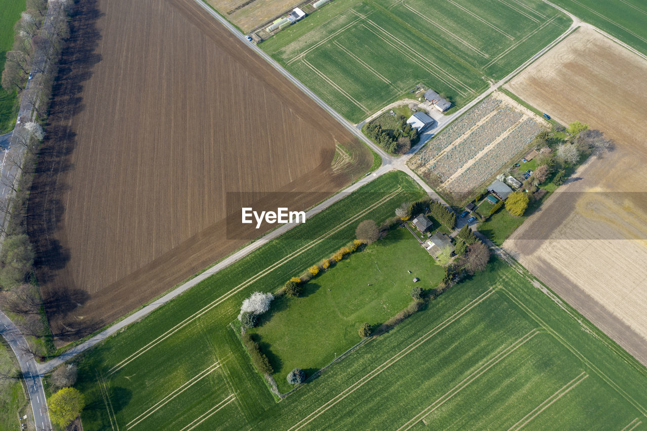 HIGH ANGLE VIEW OF VINEYARD