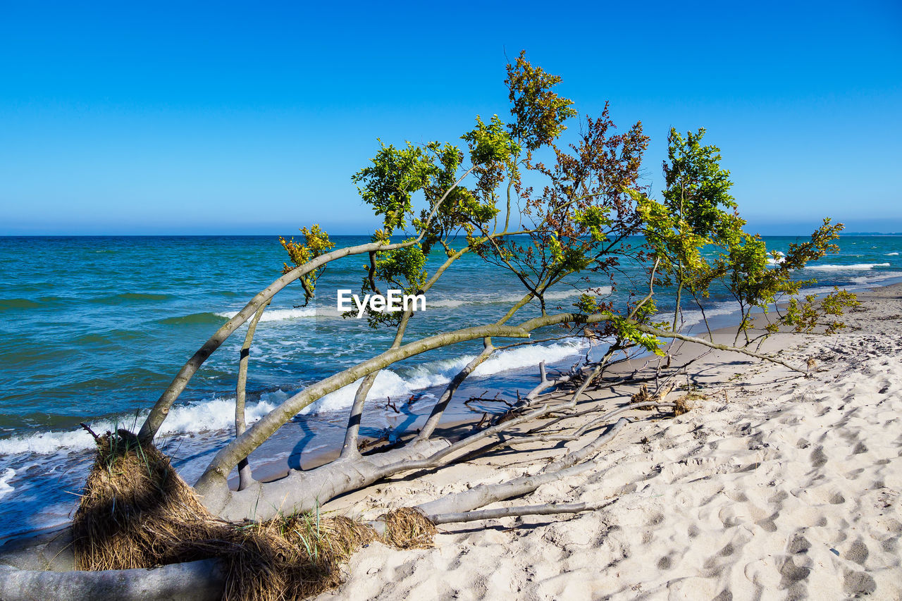 Scenic view of sea against clear blue sky