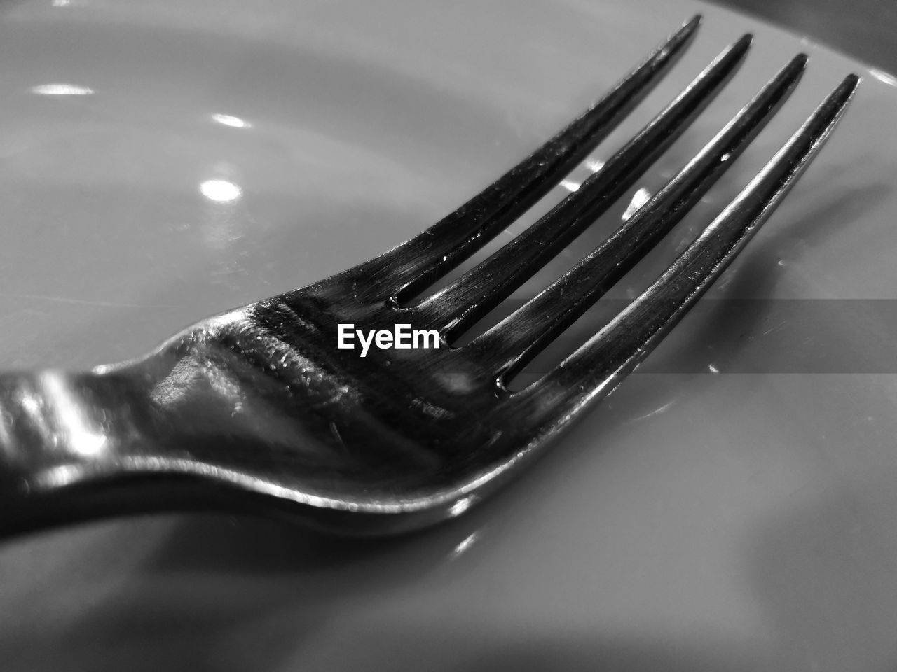 Close-up of fork in plate