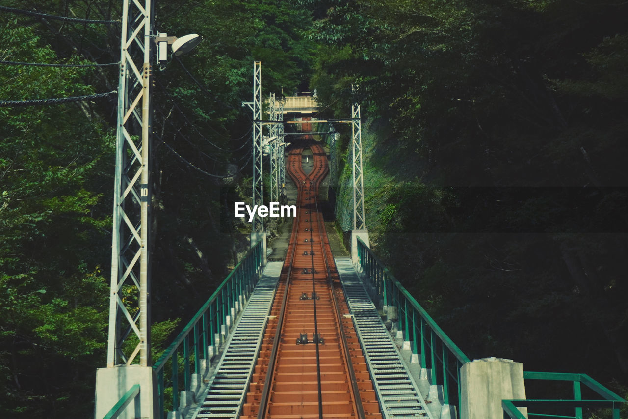 Footbridge amidst trees in forest