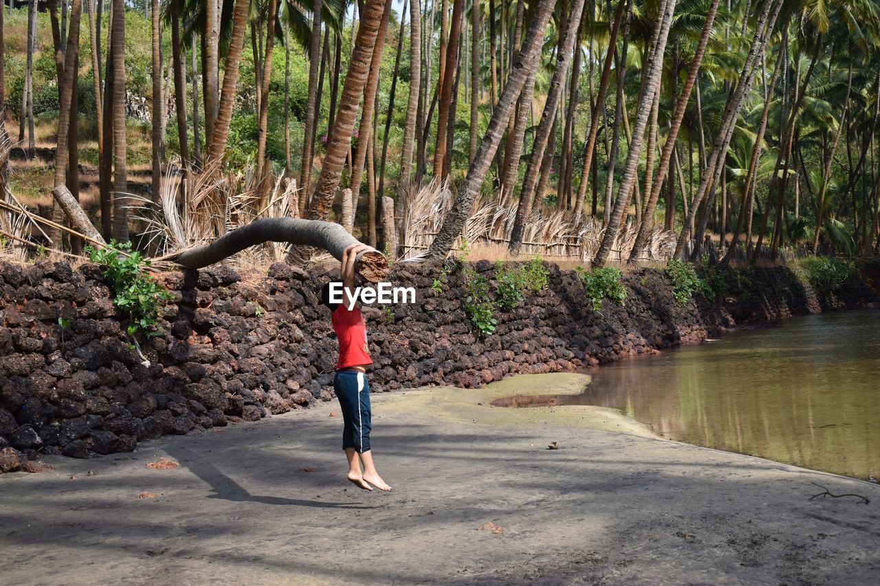 Full length of boy standing by tree in forest