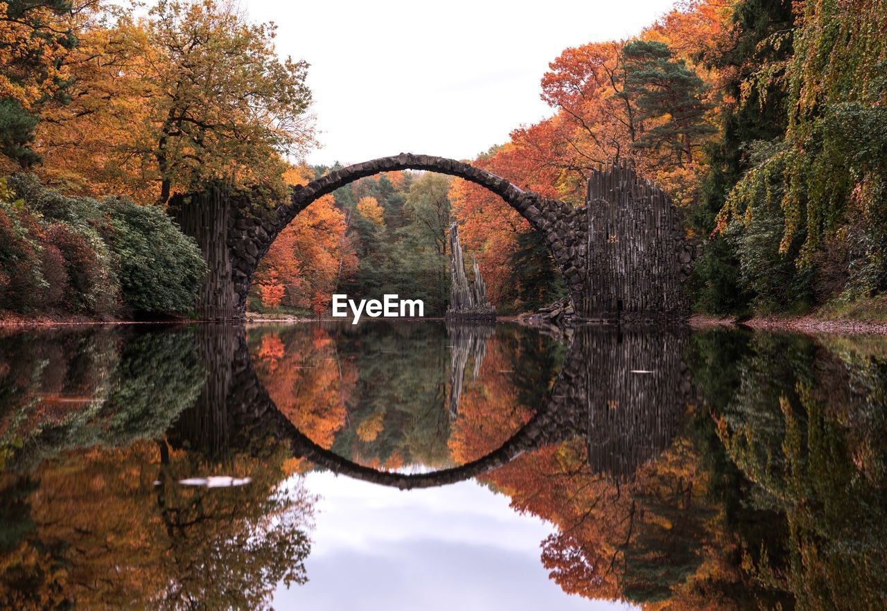 Rakotz bridge over river in forest during autumn