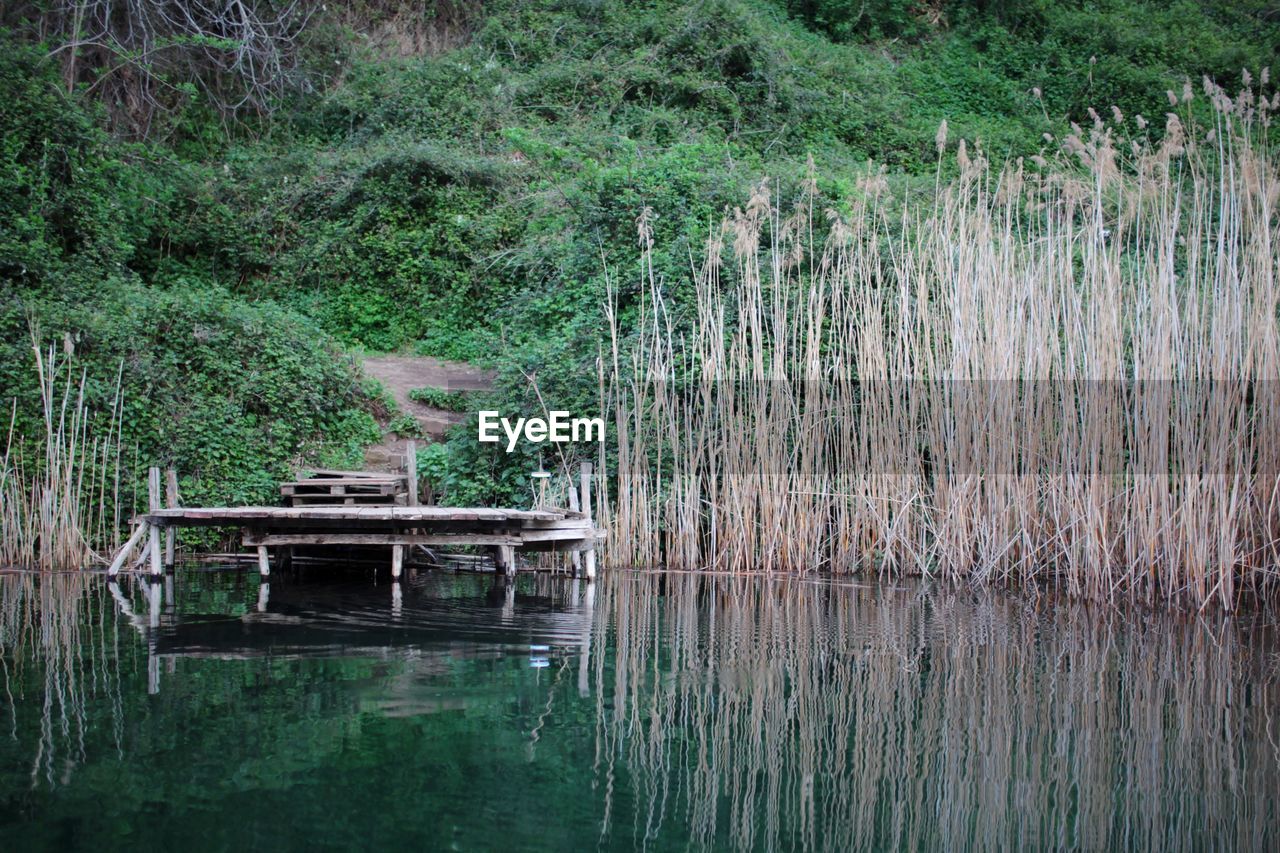 Scenic view of lake