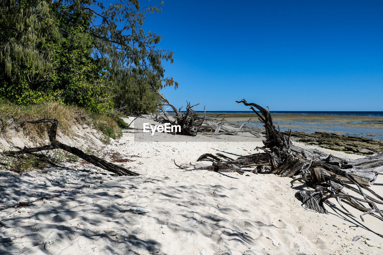 Scenic view of beach against clear blue sky