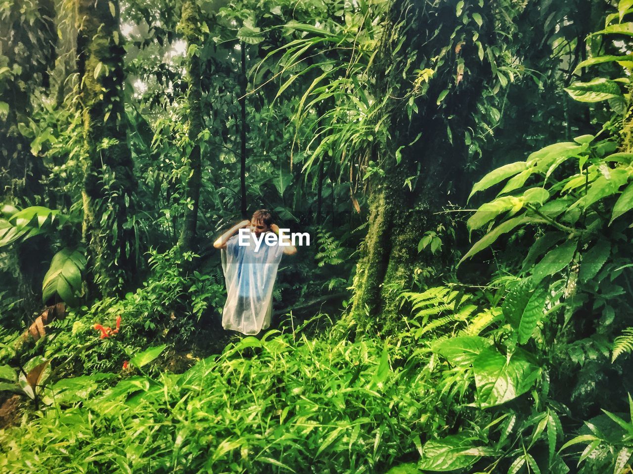 Man standing in forest