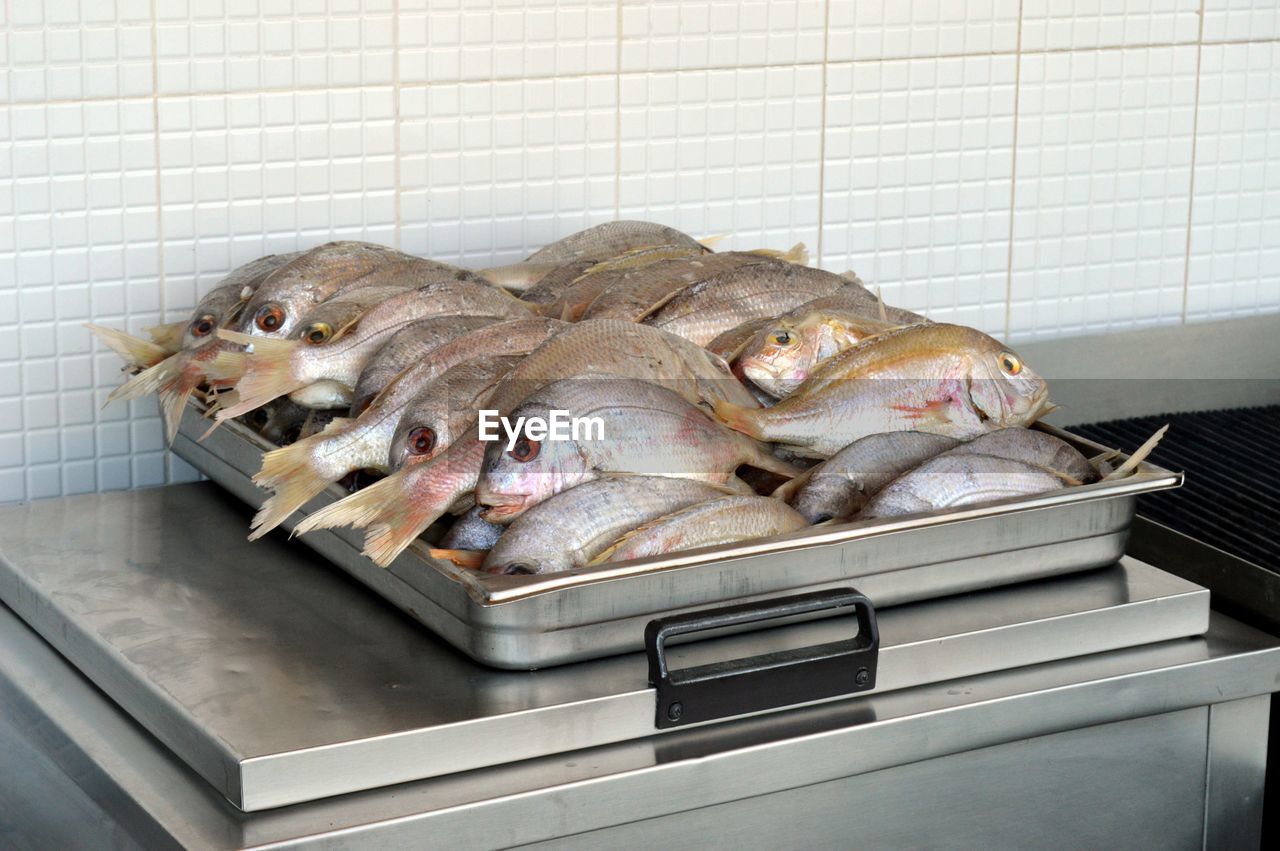 High angle view of dead fish in tray against white tiled wall at store