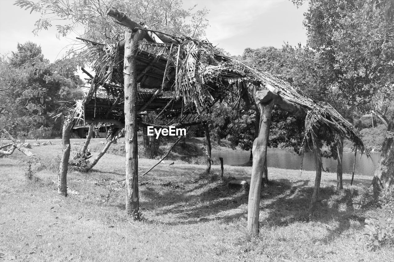 TREES ON PLAYGROUND