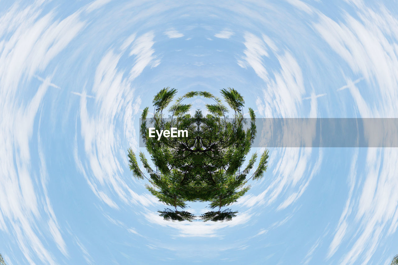 DIGITAL COMPOSITE IMAGE OF TREES AGAINST BLUE SKY