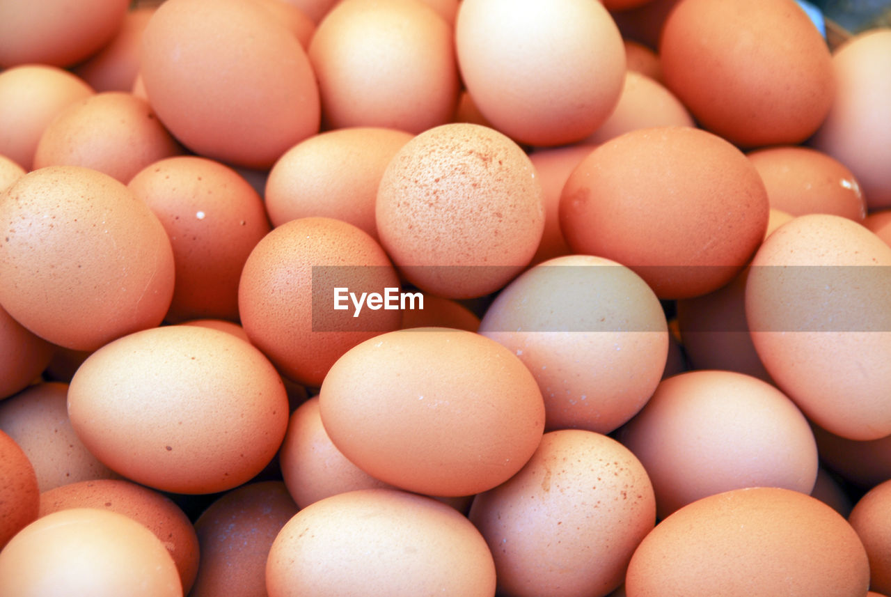 FULL FRAME SHOT OF EGGS