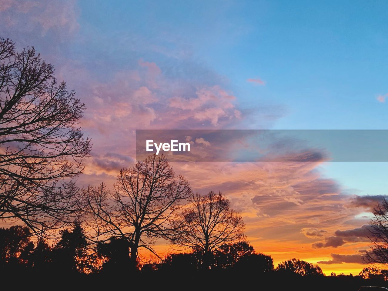 LOW ANGLE VIEW OF SILHOUETTE BARE TREES AGAINST SKY