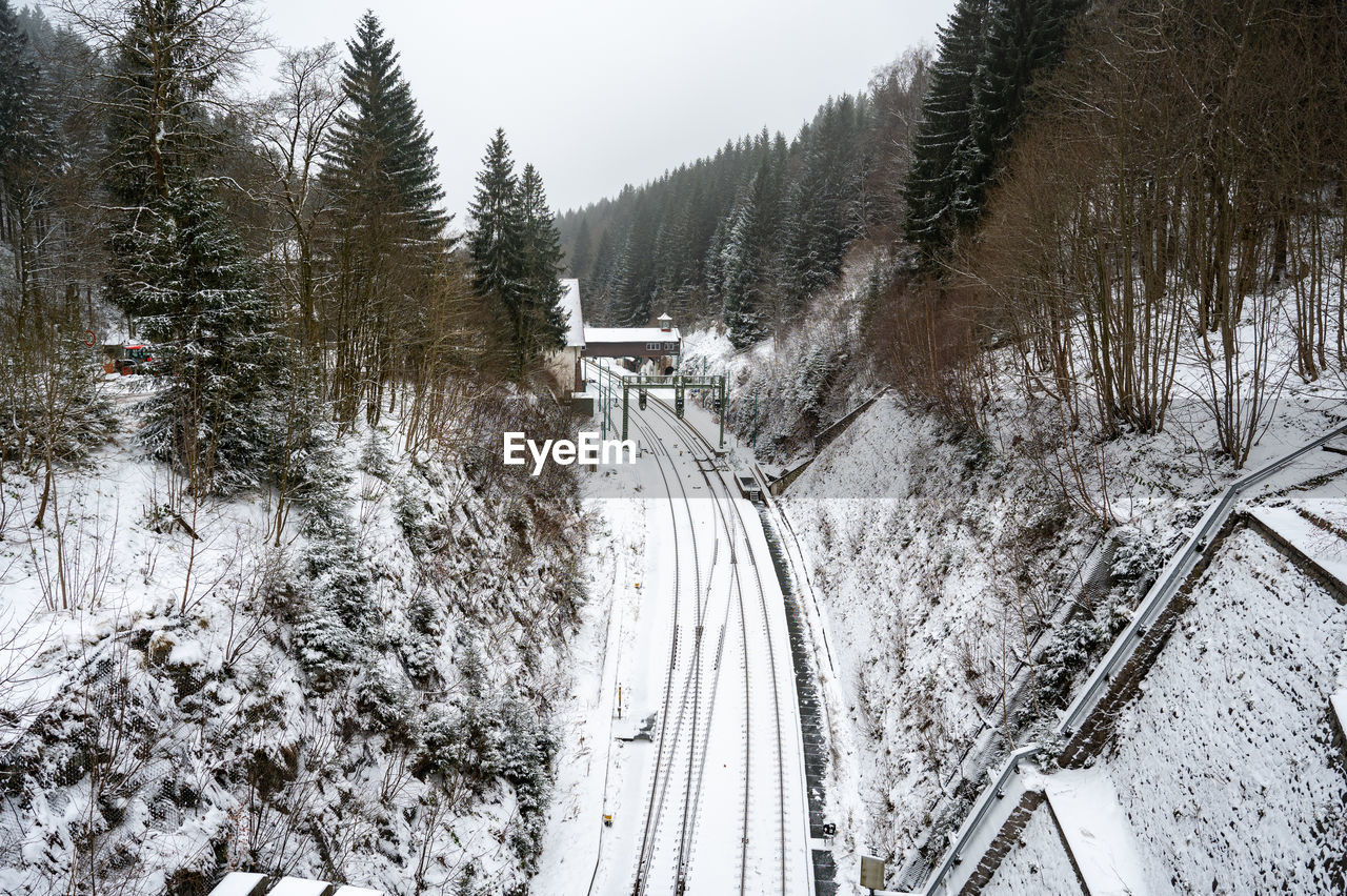bridge over river amidst trees