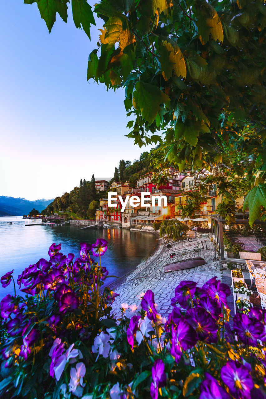 Village of varenna on lake como at sunset with illuminated houses and flowers in the foreground