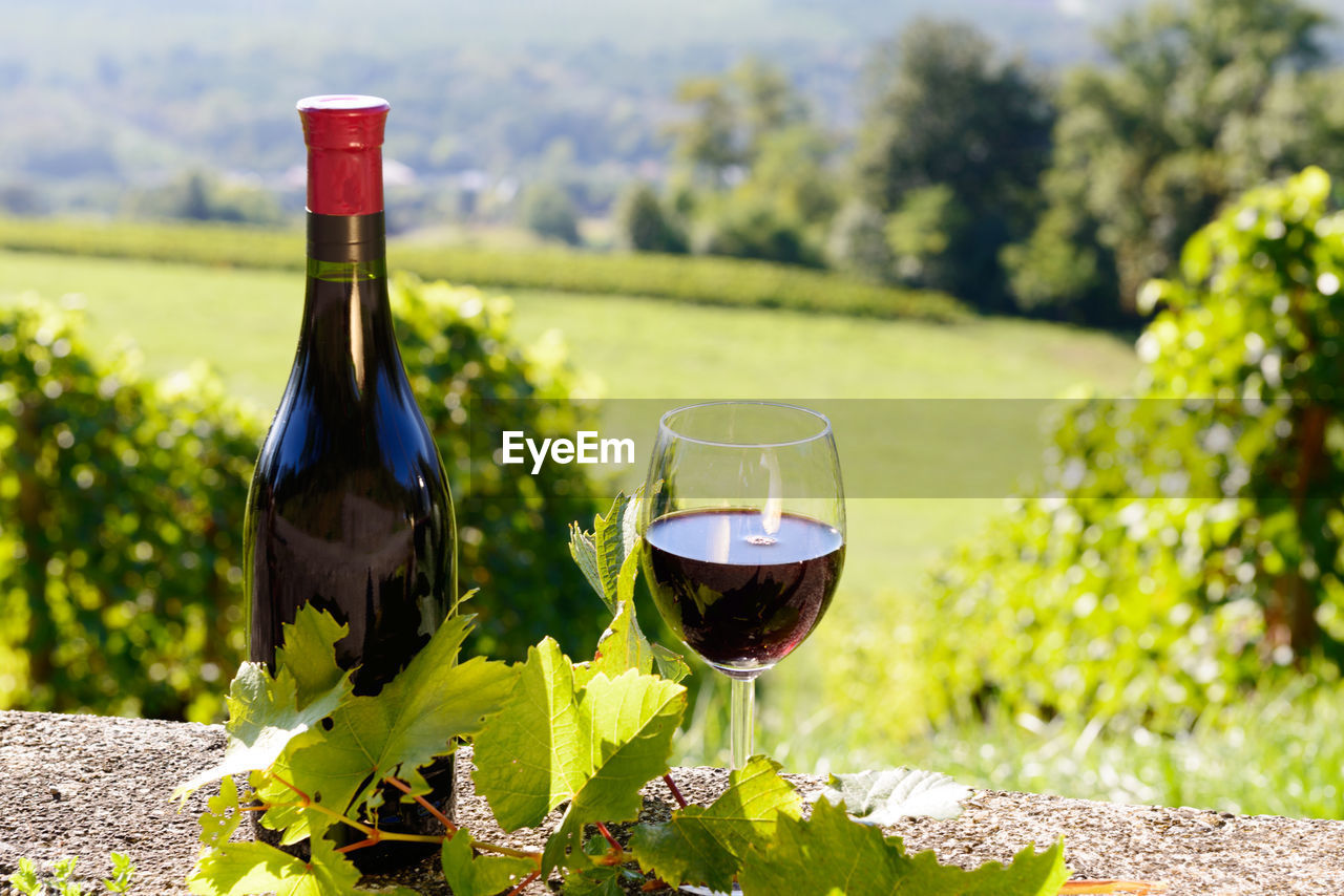 CLOSE-UP OF WINE BOTTLE ON FIELD