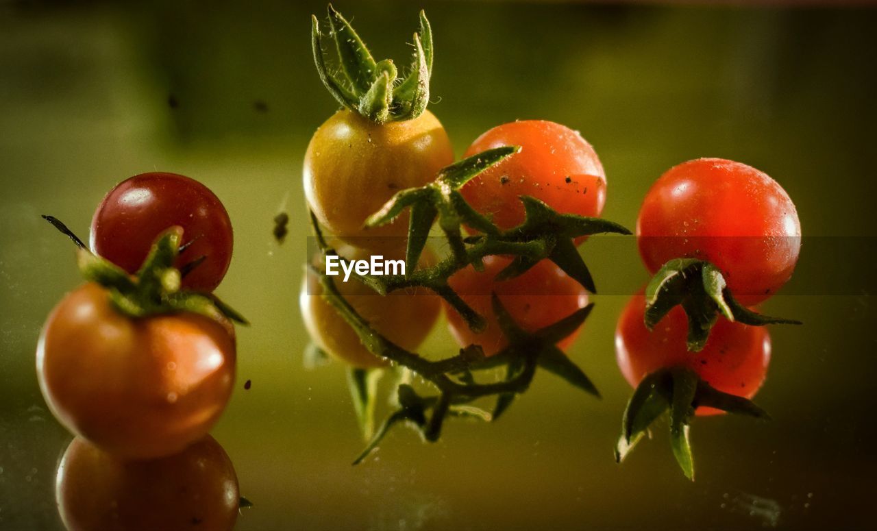 Close-up of wet cherries