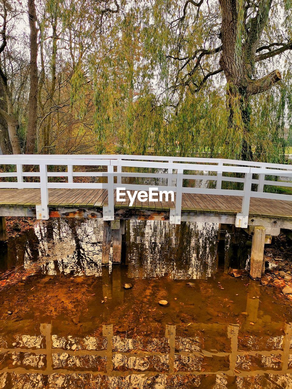 VIEW OF BRIDGE OVER RIVER IN FOREST