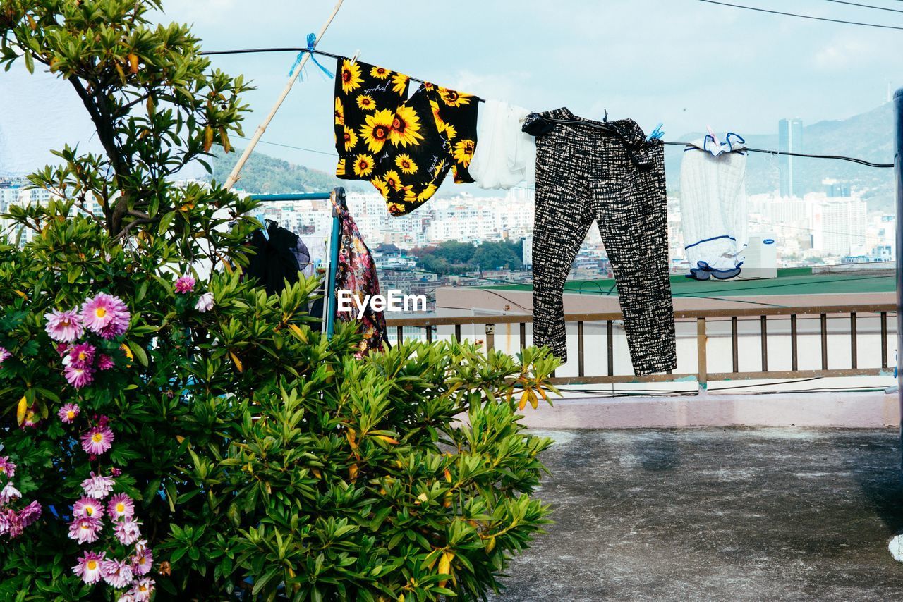 Laundry on clothesline