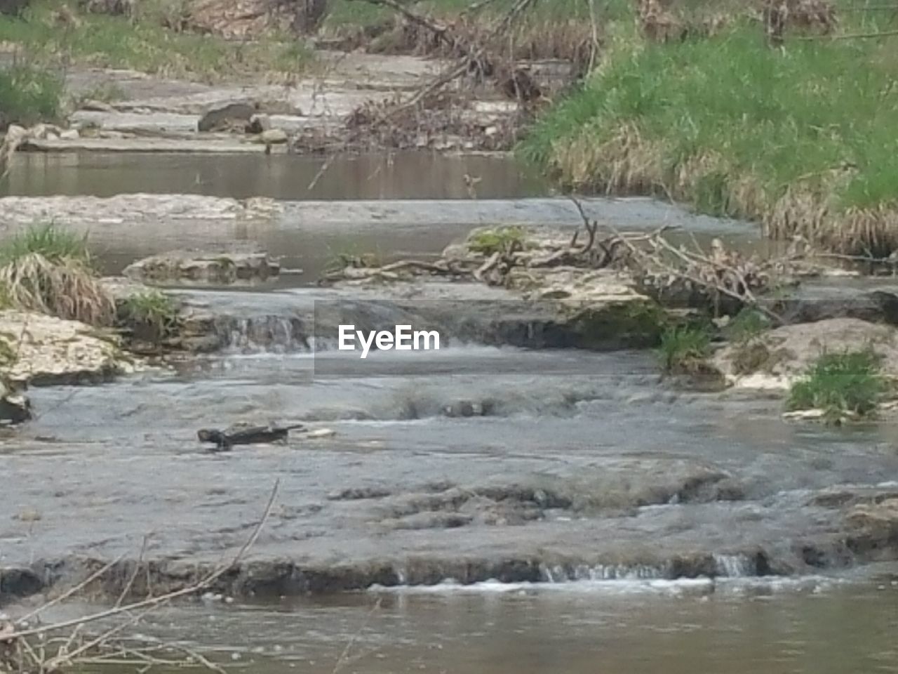 STREAM FLOWING THROUGH FOREST