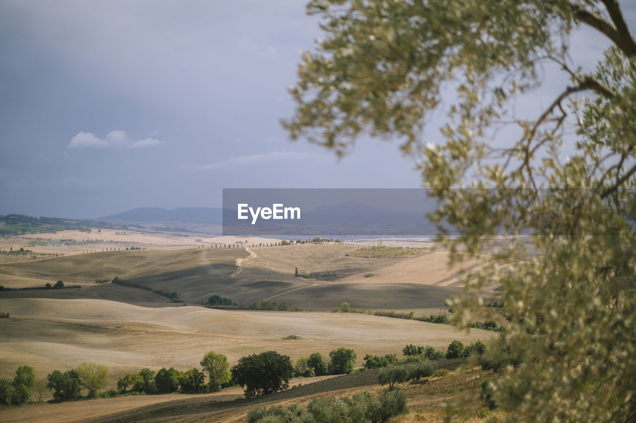 Landscape in tuscany