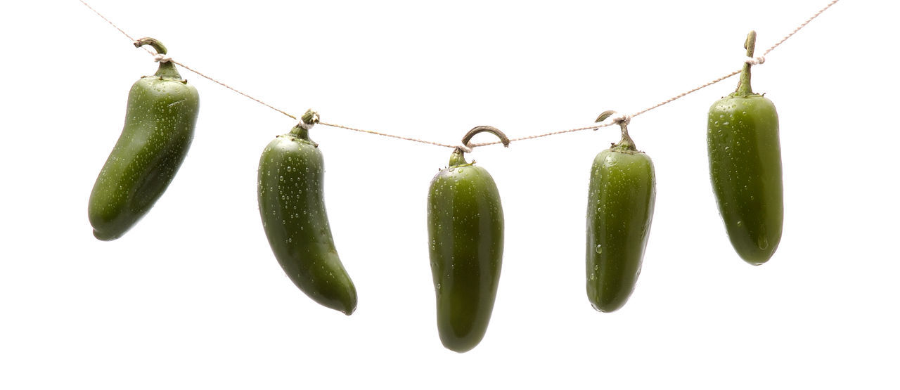 CLOSE-UP OF FRESH GREEN HANGING OVER WHITE BACKGROUND