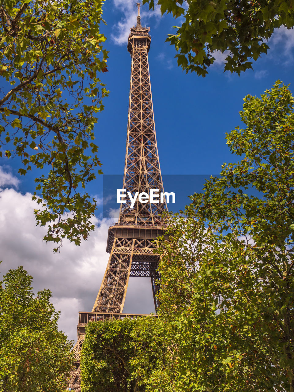 Low angle view of the eiffel tower 