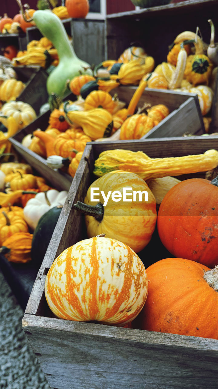 high angle view of pumpkins for sale at market stall