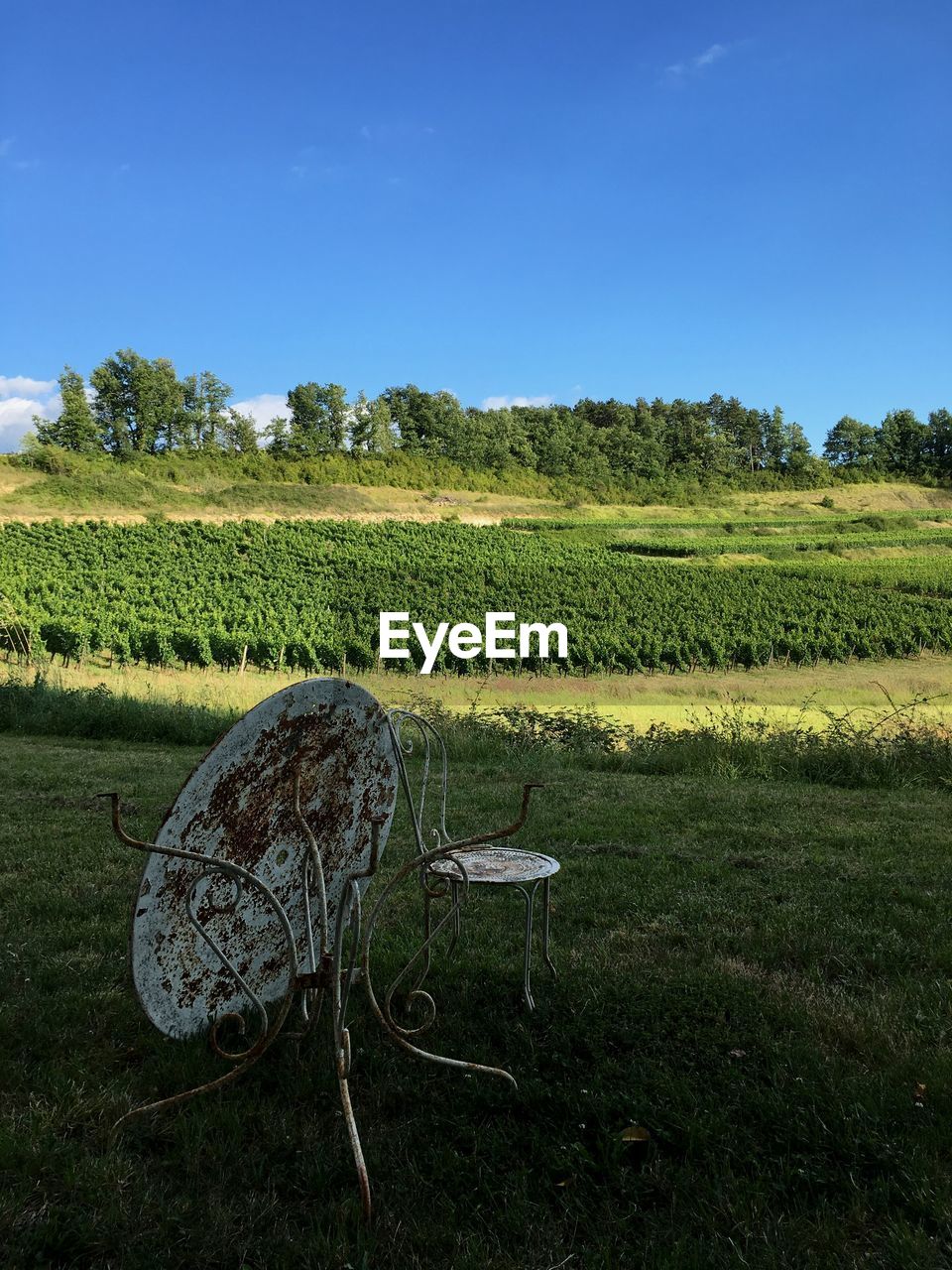 SCENIC VIEW OF AGRICULTURAL FIELD