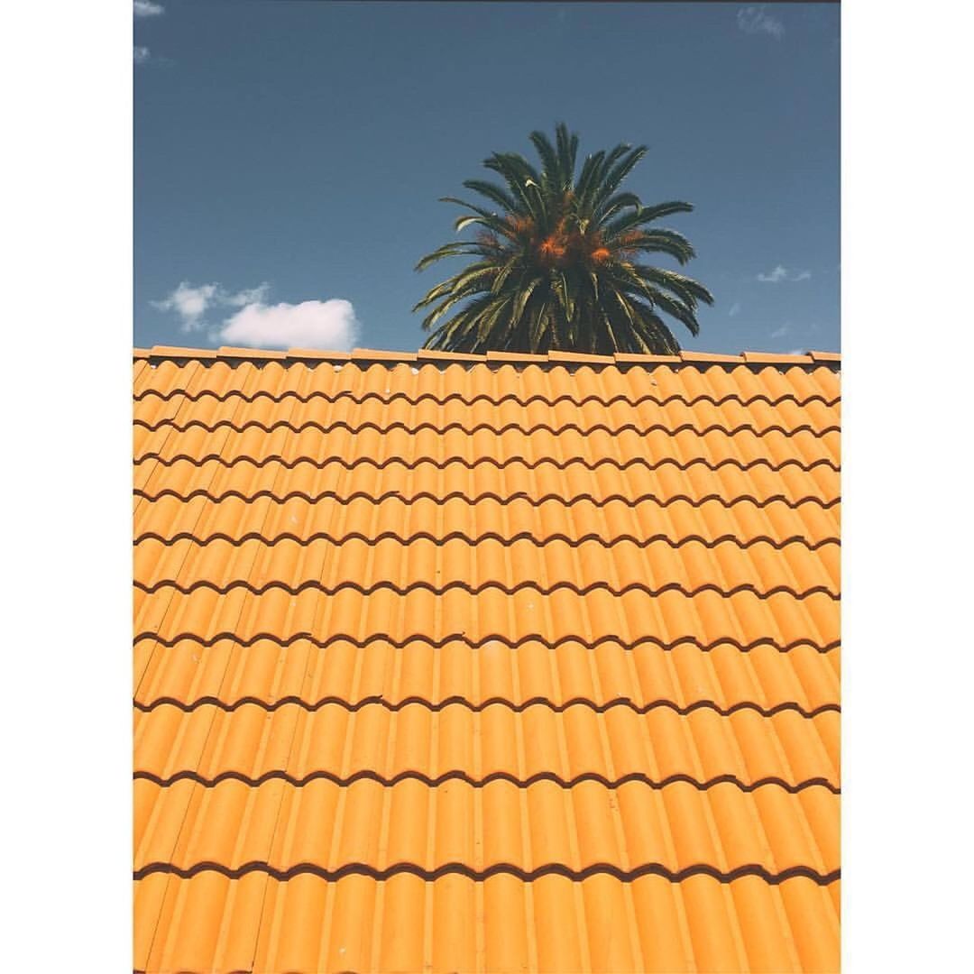 Low angle view of roof and palm tree against sky