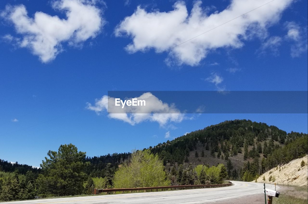 Road by trees against blue sky